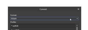 Affinity Convert Format 8Bit.png